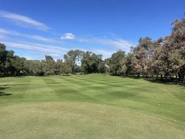 Golf & Sports Turf